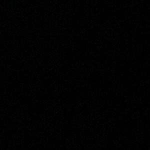 Meet your Posher, Corbin